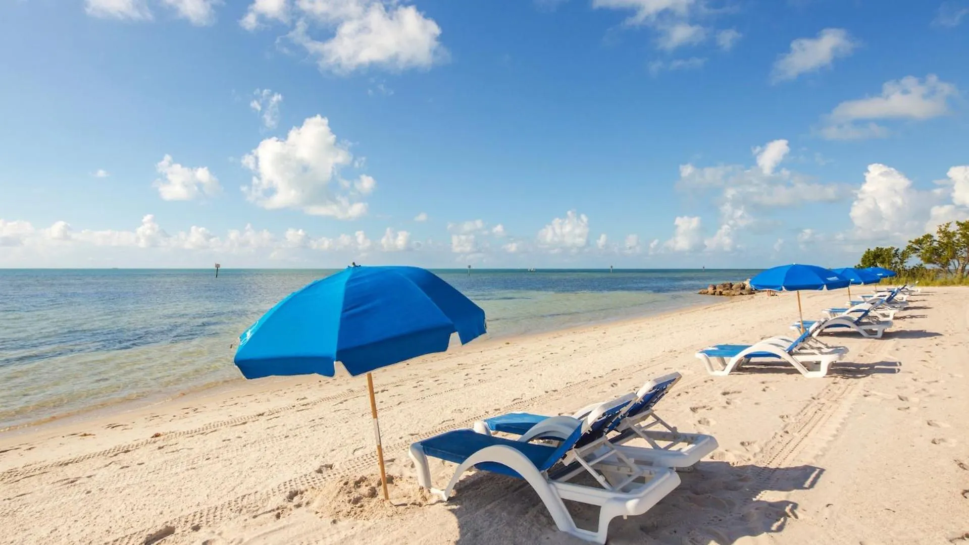 Conch In The Treetops By Last Key Realty Key West