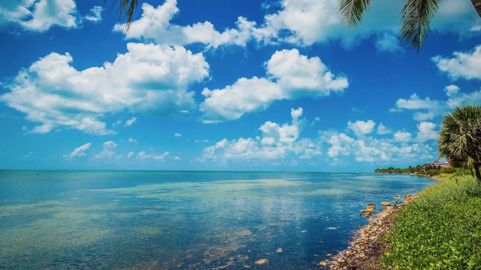 Conch In The Treetops By Last Key Realty Key West Estados Unidos da América